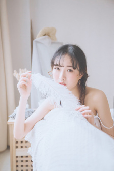 凡赫辛2